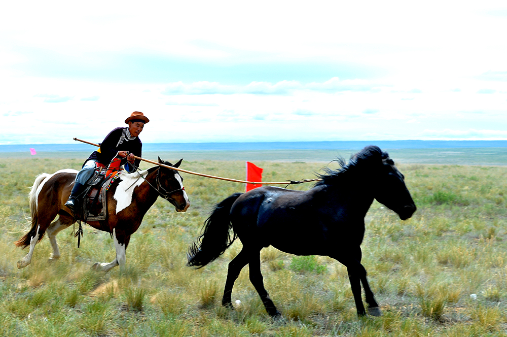 ���� (1).JPG