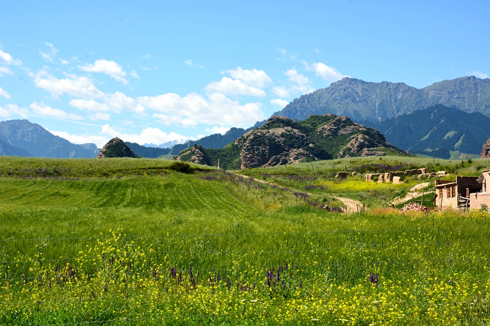 ʯ������ 137_����.jpg