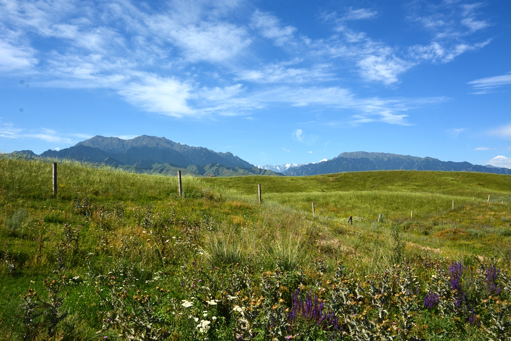 ʯ������ 043_����.jpg