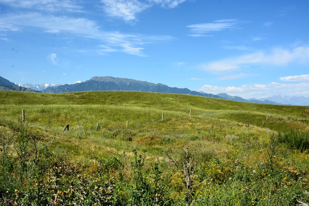 ʯ������ 046_����.jpg