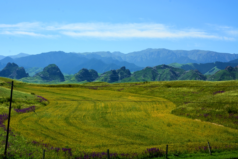 ʯ������ 060_����.jpg