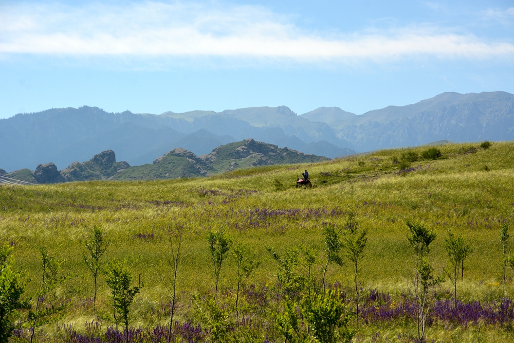 ʯ������ 065_����.jpg