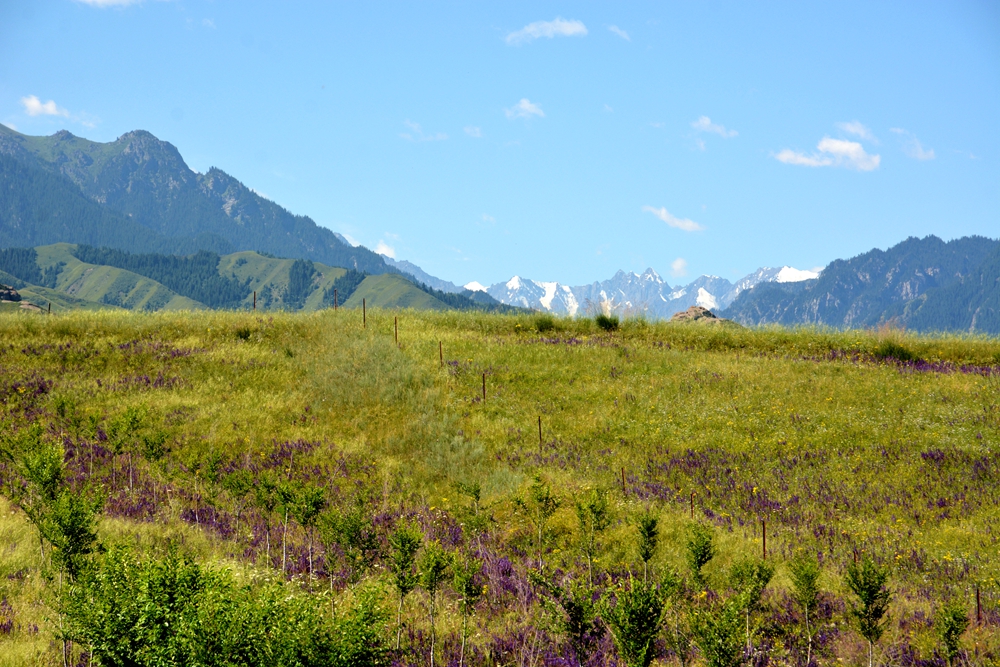 ʯ������ 066_����.jpg