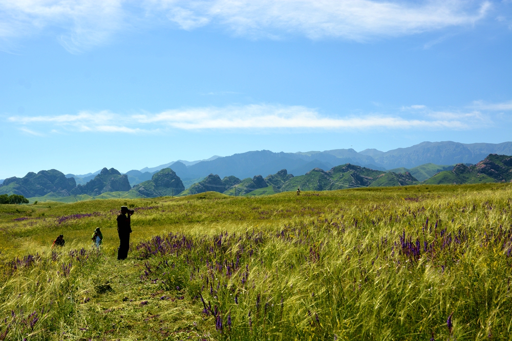 ʯ������ 067_����.jpg