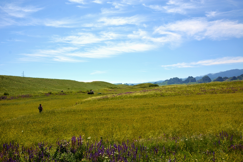 ʯ������ 070_����.jpg