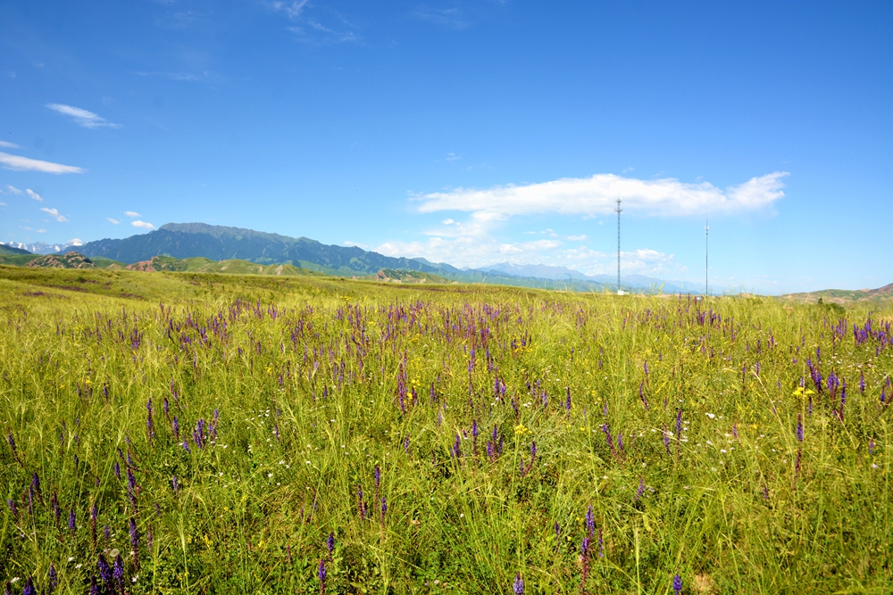 ʯ������ 074_����.jpg