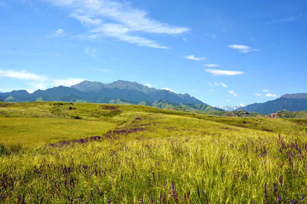 ʯ������ 076_����.jpg