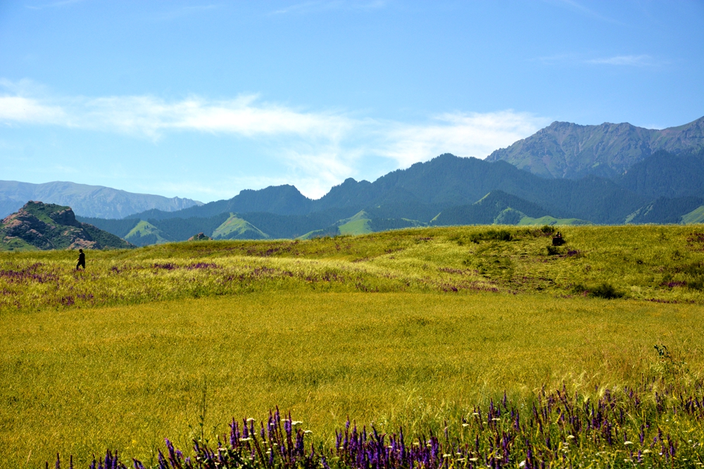 ʯ������ 079_����.jpg