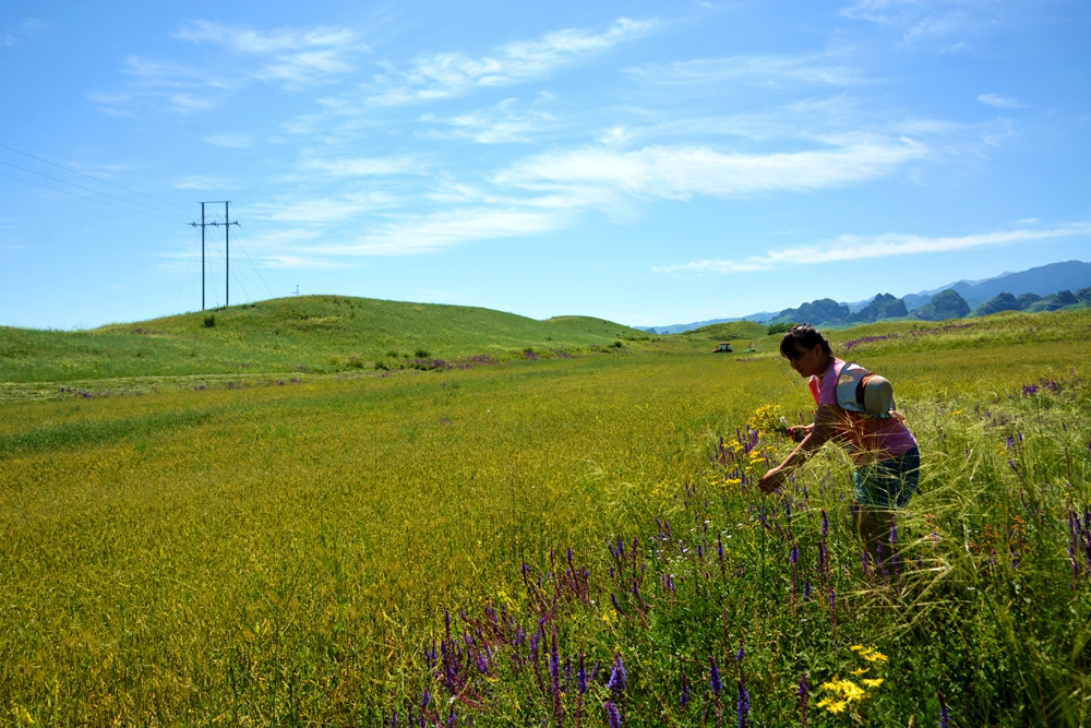 ʯ������ 095_����.jpg