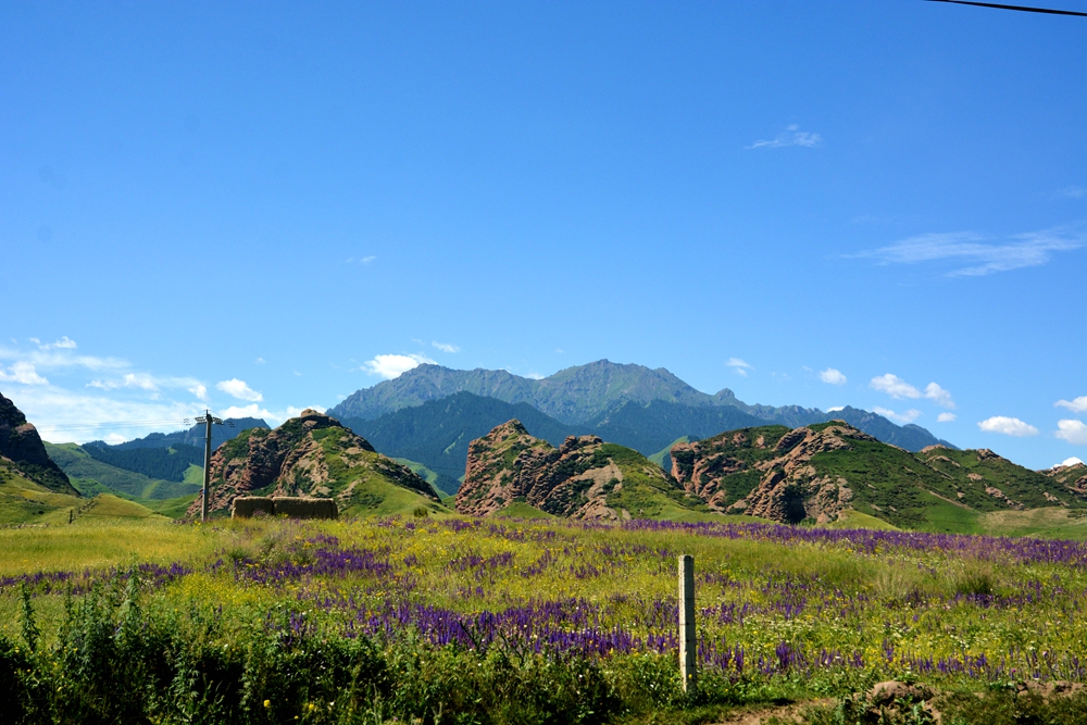 ʯ������ 103_����.jpg