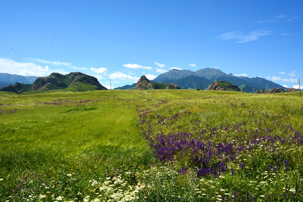 ʯ������ 114_����.jpg