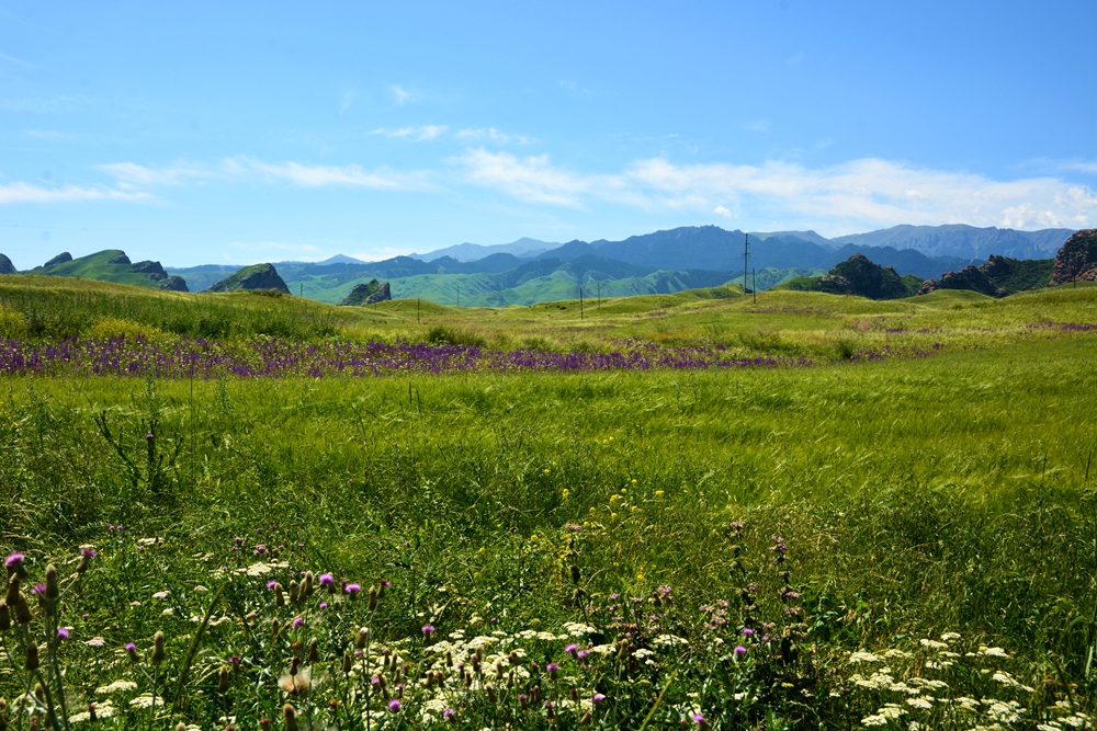 ʯ������ 115_����.jpg