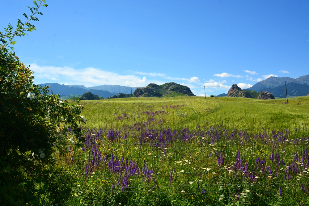 ʯ������ 119_����.jpg