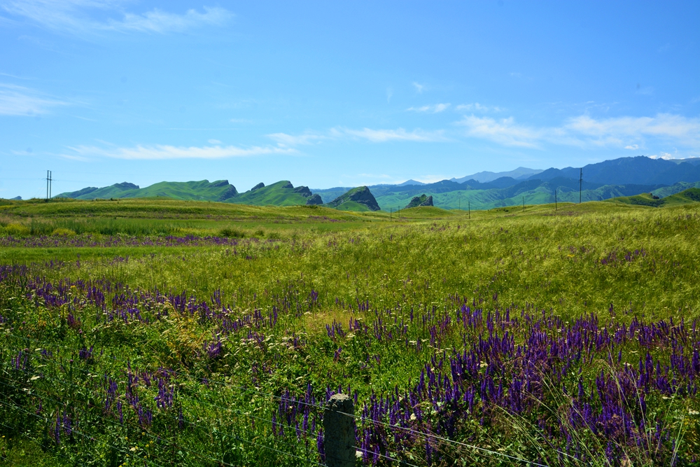 ʯ������ 120_����.jpg