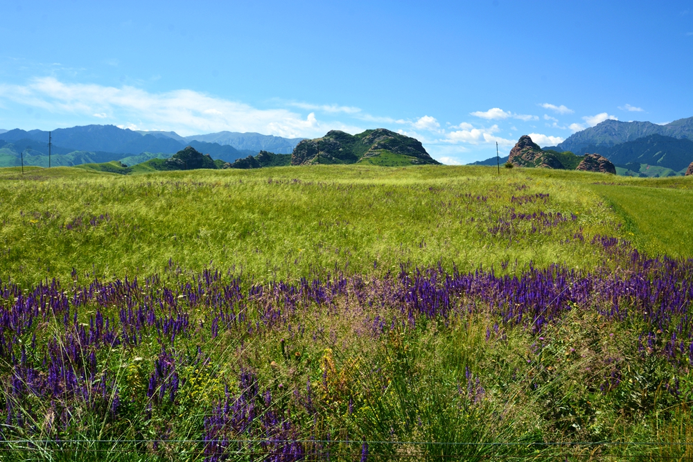 ʯ������ 121_����.jpg