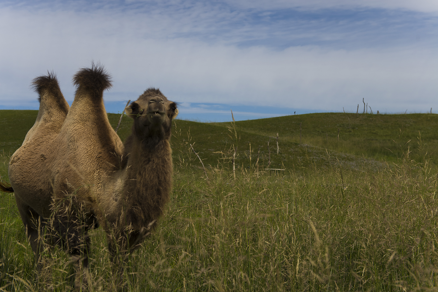 �����յ�����