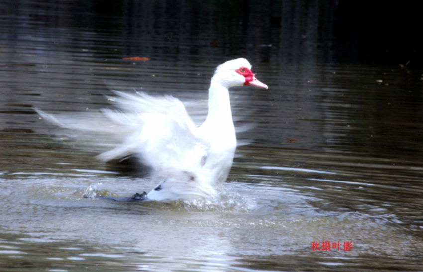 �����ˣ�С���������ڵ���С������ˣ������������