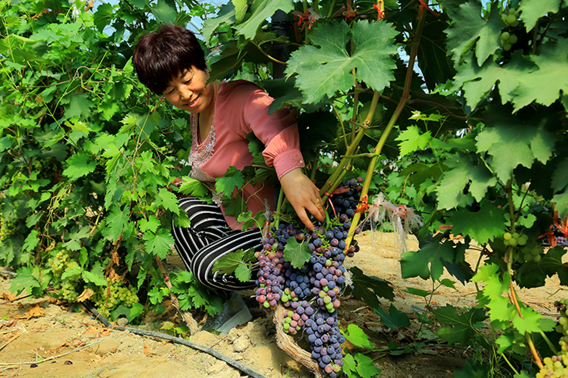 �����ѽ� (6).jpg