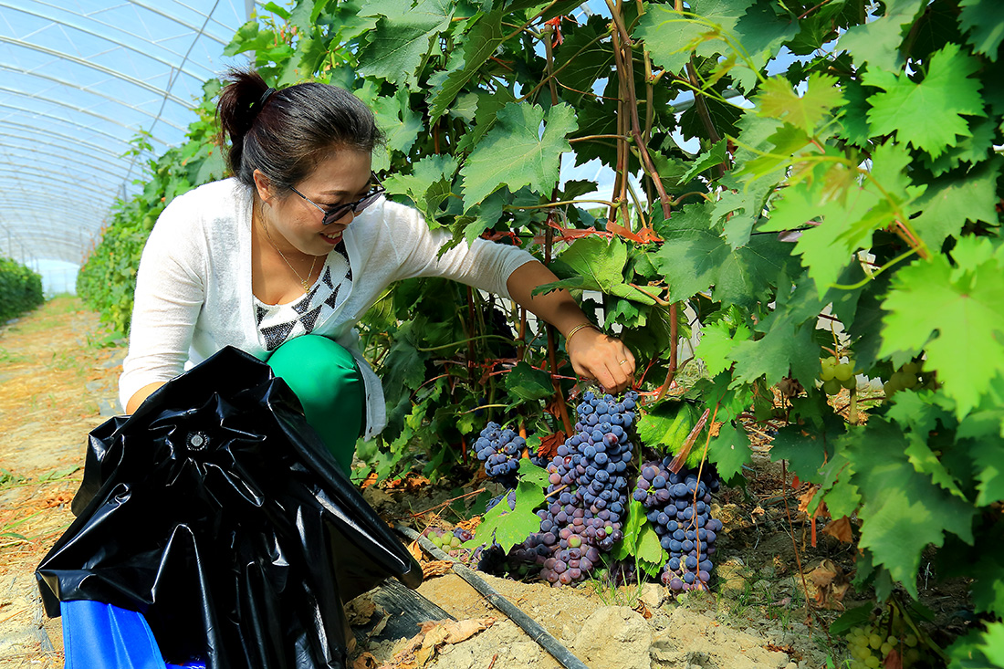 �����ѽ� (9).jpg