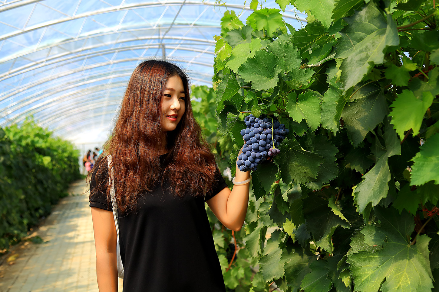 �����ѽ� (10).jpg