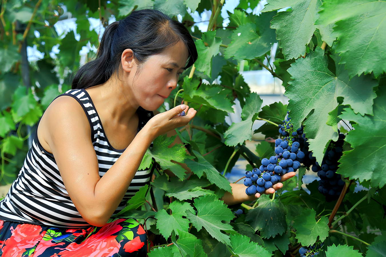 �����ѽ� (11).jpg