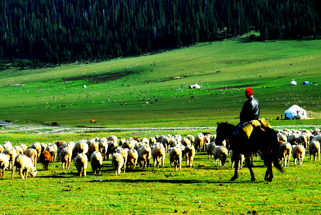 Picture 337944528.jpg