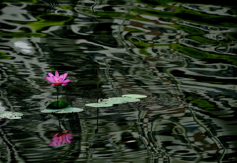 ���� _DSC1209.JPG