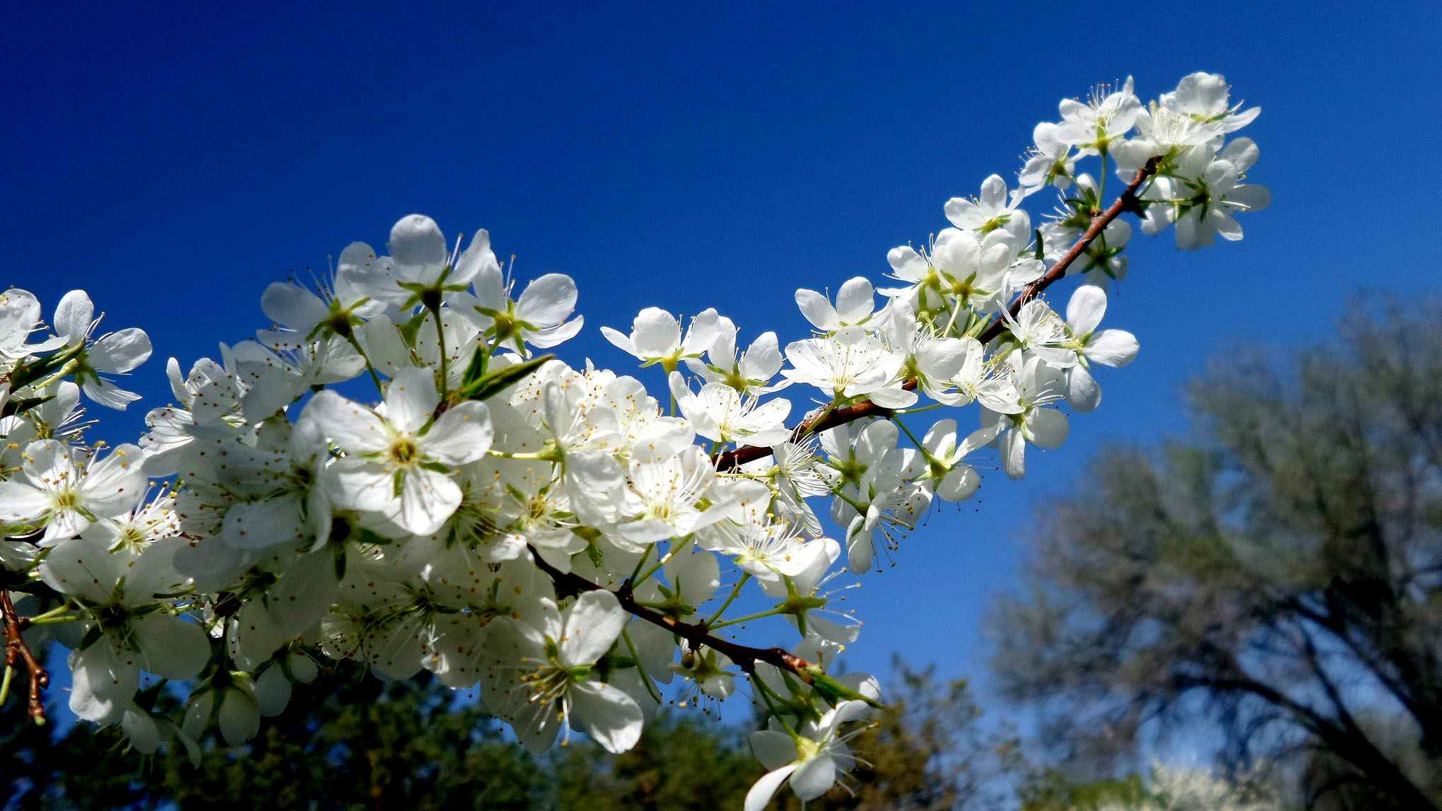 6  ͭ�������滨�̡����ٺ���.jpg