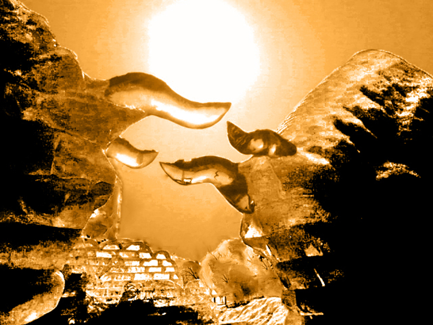 5  ͭ�����ź�-D2������ţ��.jpg