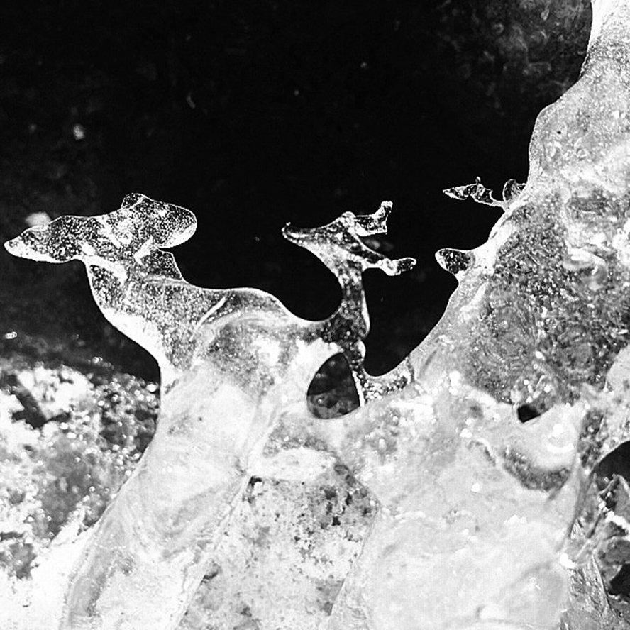 6  ͭ�������-D1��С¹��������.jpg