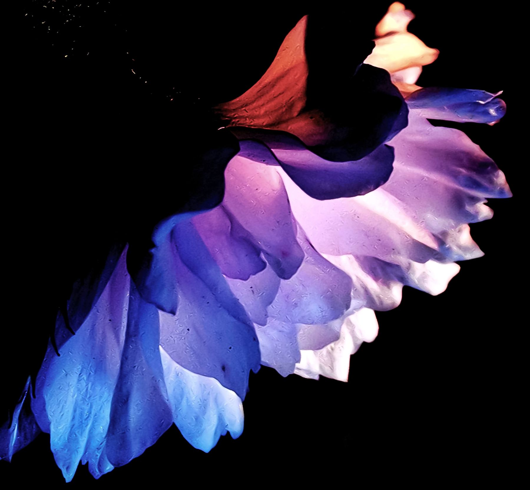 1  �𽱣��º���-C1�����⡷.jpg.jpg