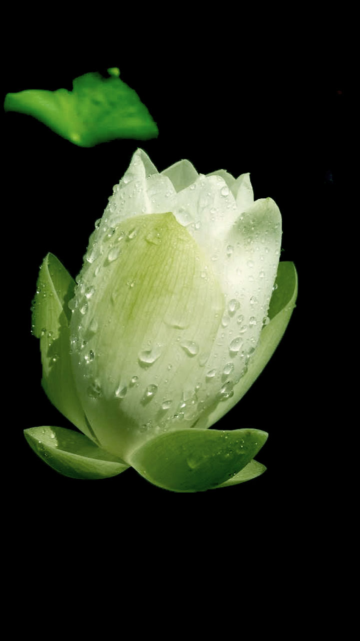 2  ����������ӢA1�����㡿.jpg