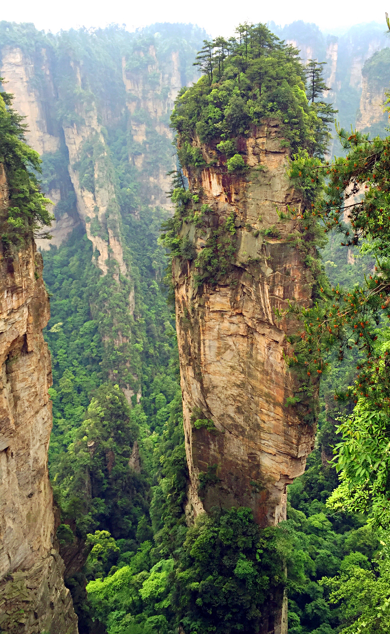 5  ͭ������Ԭ�ҽ�2��¡��ɭ��.jpeg