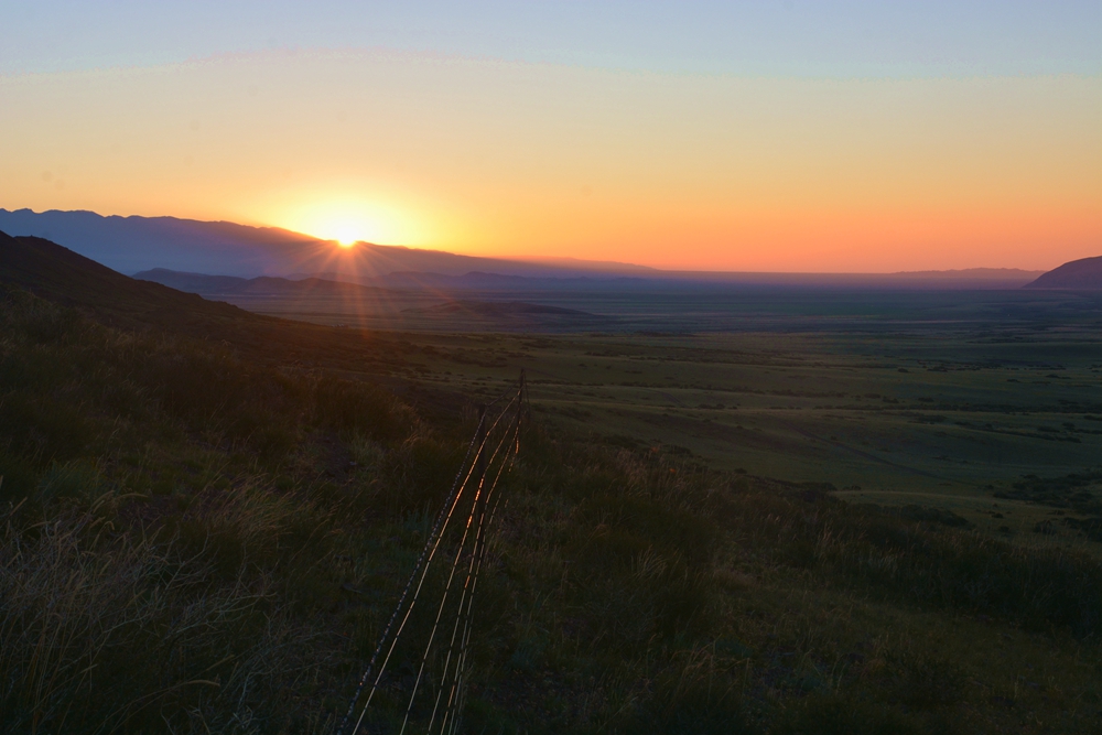 ������ 484_����.jpg