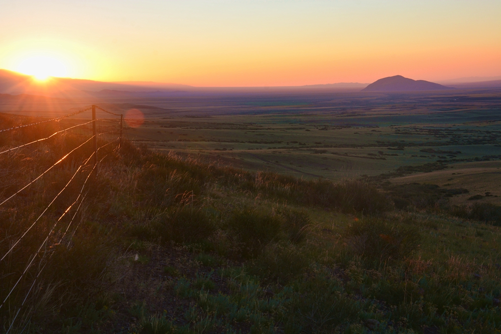 ������ 485_����.jpg