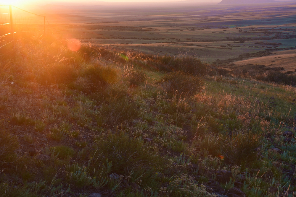 ������ 493_����.jpg