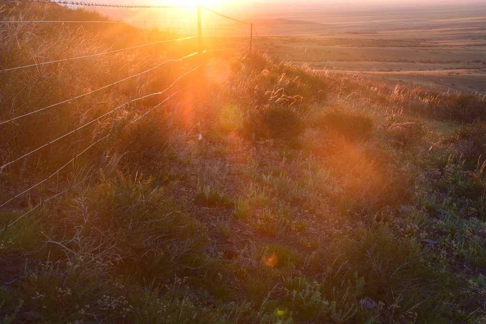 ������ 494_����.jpg