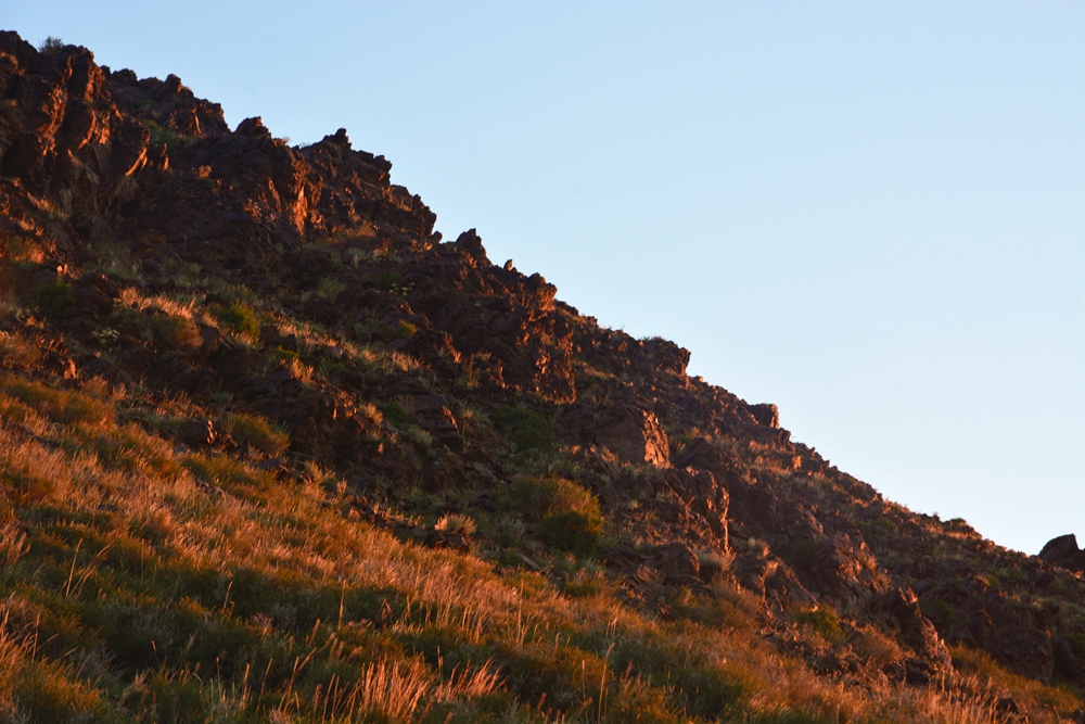 ������ 503_����.jpg