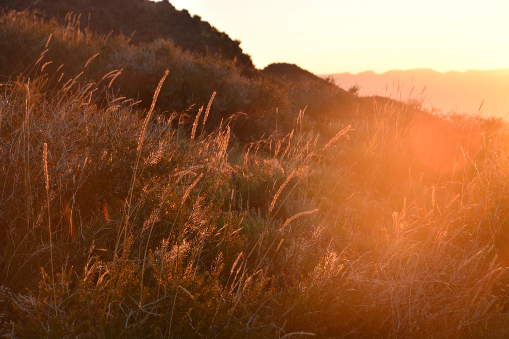 ������ 504_����.jpg