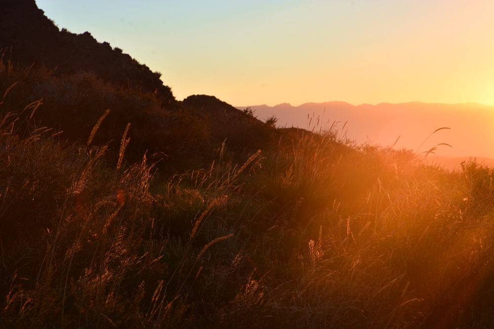 ������ 508_����.jpg