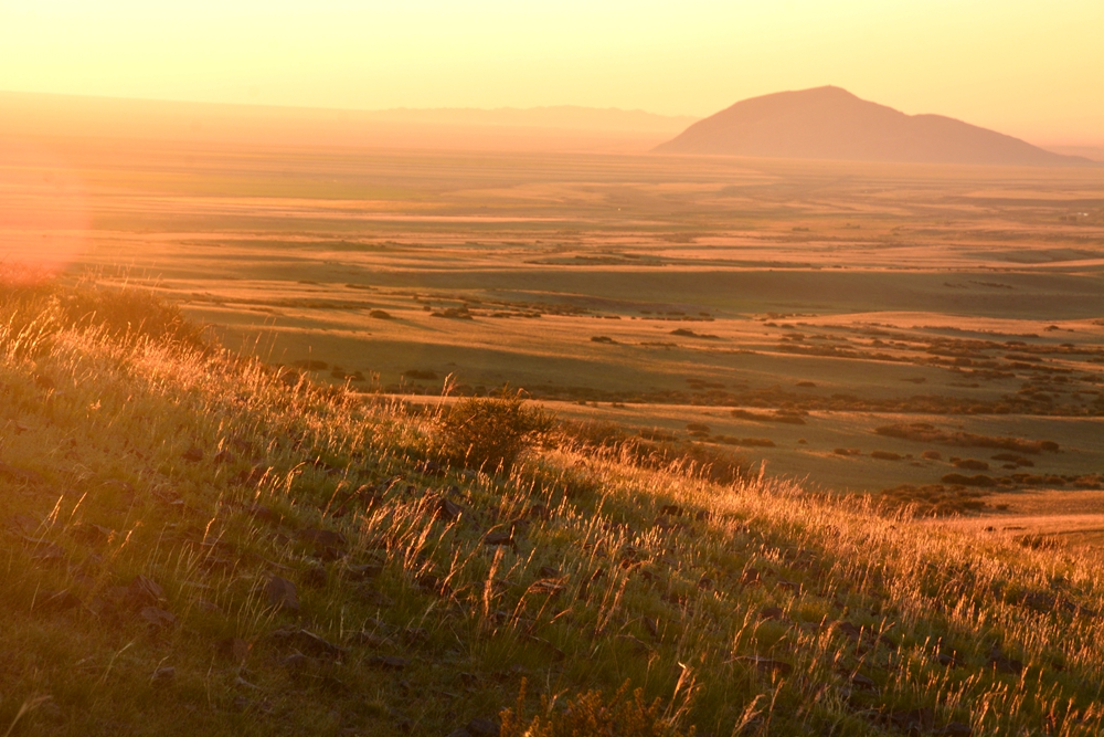 ������ 519_����.jpg