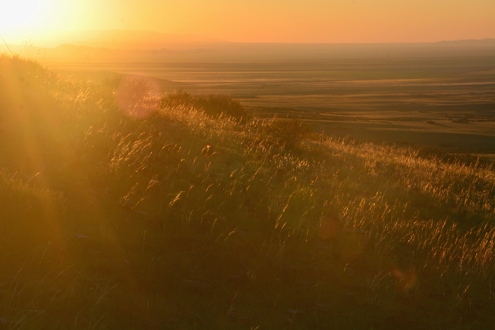 ������ 523_����.jpg