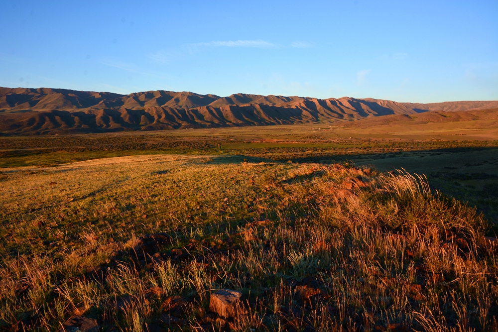 ������ 525_����.jpg