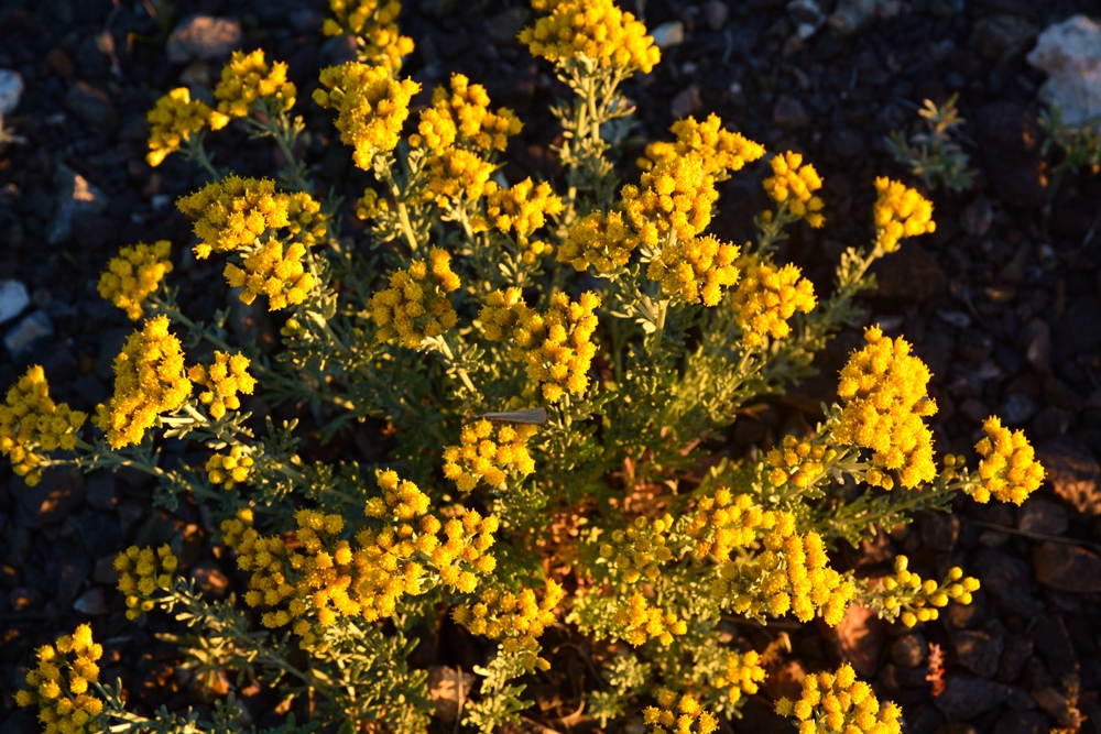 ������ 533_����.jpg