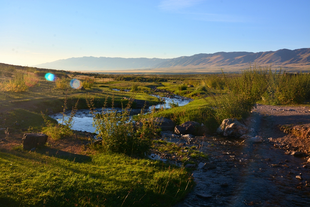 ������ 555_����.jpg