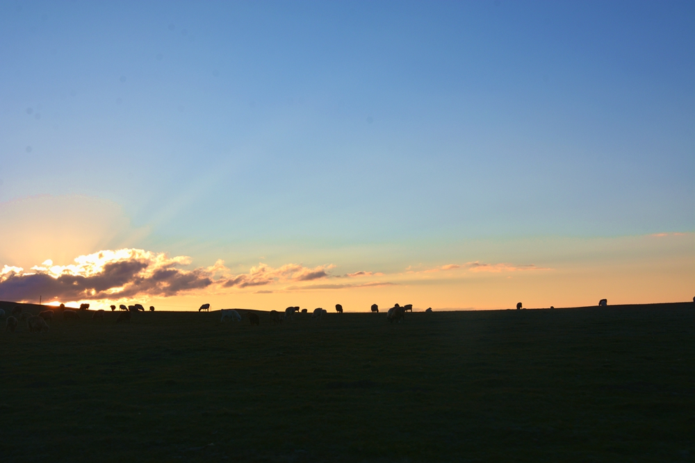 ������ 388_����.jpg