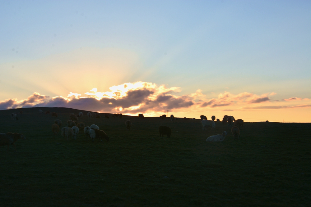 ������ 390_����.jpg