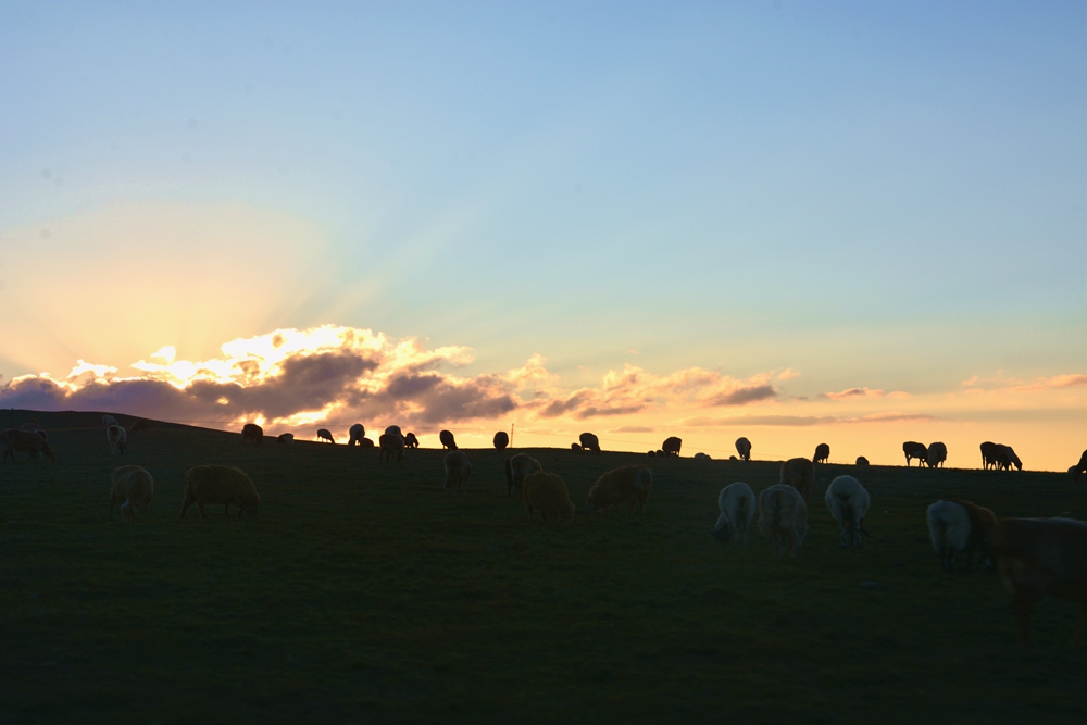 ������ 391_����.jpg