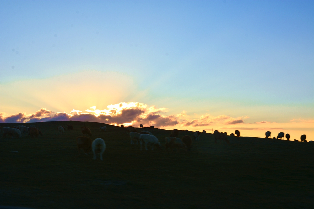 ������ 393_����.jpg