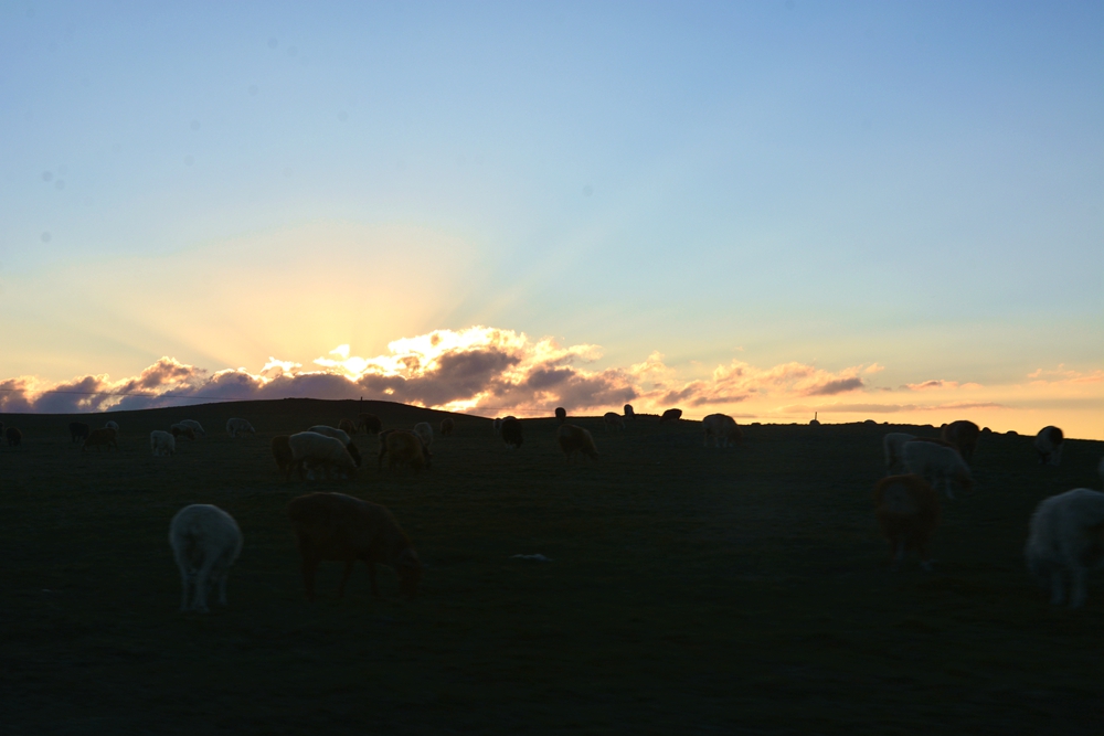 ������ 394_����.jpg